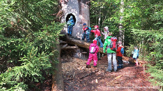 We offer children's birthday parties, for example, in the forest playground near Spiegelau.