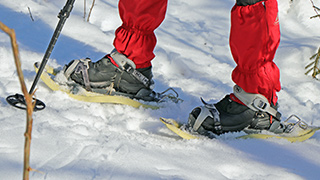 Führungen und Veranstaltungen