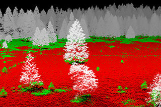 The 3-D structure of forests can be analysed using point clouds derived from airborne laser scanning.