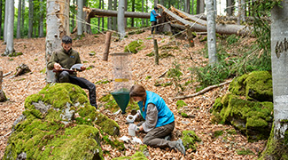 Forschende im Wald überprüfen Insektenfallen.