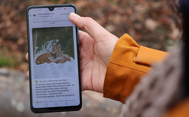 >Smartphone mit Nationalpark-WhatsApp-Kanal