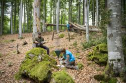 Forschung im Nationalpark Bayerischer Wald. Bild: Foto Sepp Eder