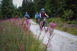 Auf geschichtsträchtigen Wegen geht es bei einer grenzüberschreitenden Radtour von Bayerisch Eisenstein nach Rovina. (Foto: Annette Nigl/Nationalpark Bayerischer Wald)