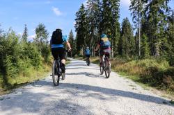 Durch wilde Natur und typisch böhmische Dörfer führt eine grenzüberschreitende Radtour am 23. Juni. (Foto: Annette Nigl/Nationalpark Bayerischer Wald)