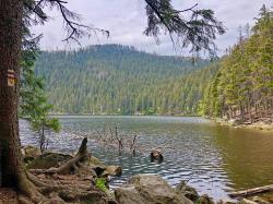 Der Teufelssee im Landschaftsschutzgebiet Šumava ist ein Ziel der Wanderung am 30. Juni. (Foto: Sandra Schrönghammer/Nationalpark Bayerischer Wald)