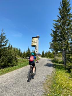 Der Polednik ist das Ziel der grenzüberschreitenden Radtour am 21. Juli. (Foto: Peter Auerbeck/Nationalpark Bayerischer Wald)