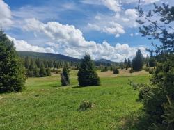 Die Ausweisung der neuen Ruhegebiete im Nationalpark Šumava sind auf tschechischer Seite eine wichtige Voraussetzung für eine mögliche zukünftige Öffnung des historischen Grenzübergangs Blaue Säulen.(Foto: Nationalpark Bayerischer Wald)