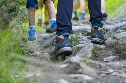 Waldführer Franz Uhrmann wandert am Sonntag ab Philippsreuth ins angrenzende Tschechien. (Foto: Woidlife Photography/Nationalpark Bayerischer Wald)