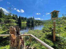 Mit dem Rad geht am Sonntag zum Lakasee, ein Relikt der letzten Eiszeit. (Foto: Nationalpark Bayerischer Wald)