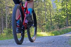 Am 13. und 14. September muss ein Teil des durch das Nationalparkzentrum Falkenstein verlaufenden Radwegs gesperrt werden. (Foto: Nationalpark Bayerischer Wald)