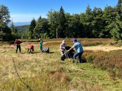 Beim Aktionstag zur Schachtenpflege am 21. September sind alle Interessierten eingeladen, die Schachten frei von Bewuchs zu halten (Foto: Bayerischer Wald-Verein).