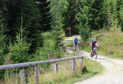 Über die Grenze in den Nationalpark Šumava zum Königsfilz geht es am Sonntag mit Waldführerin Jutta Pongratz. (Foto: Nationalpark Bayerischer Wald)