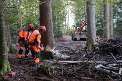 Voraussichtlich drei Wochen werden die Verkehrssicherungsmaßnahmen im Tier-Freigelände des Nationalparkzentrums Lusen andauern. (Foto: Nationalpark Bayerischer Wald)