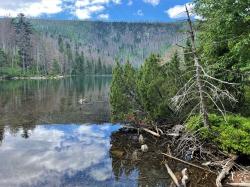 Eines der zahlreichen Highlights der grenzüberschreitenden Radtour: Der spiegelklare Schwarze See im Nationalpark Šumava. (Foto: Nationalpark Bayerischer Wald)