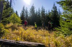 Über den Siebensteinkopf nach Fürstenhut können Interessierte am Sonntag mit Waldführerin Jutta Pongratz wandern. (Foto: Woidlife Photography/Nationalpark Bayerischer Wald)