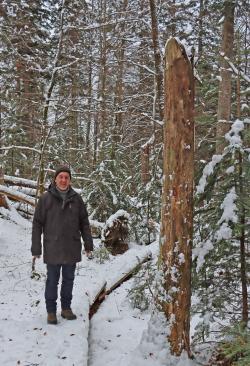 Einer von Franz Baierls Lieblingsplätzen im Nationalpark: Der Seelensteig unterhalb des Großen Rachels. (Foto: Gregor Wolf/Nationalpark Bayerischer Wald)